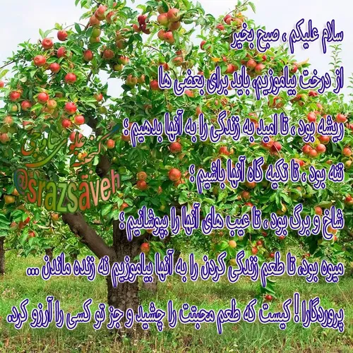 سلام علیکم ، صبح بخیر