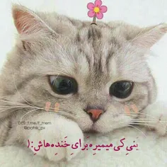 #عاشقانه ها  😻😻😻💔