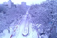 inam vase onaei ke avalin barfe emsalo nadidam . 