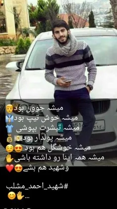 شهید احمد مشلب