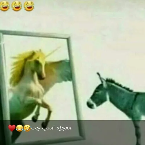 حق حق 😂