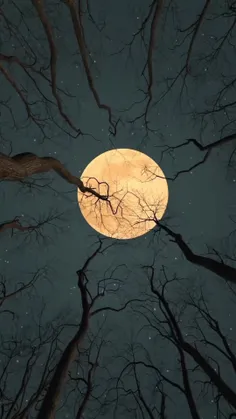 زیبایی ماه
