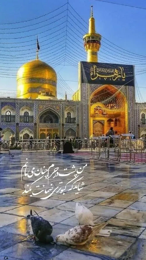 یا امام رضا