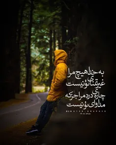 پیامبر اکرم(ص)