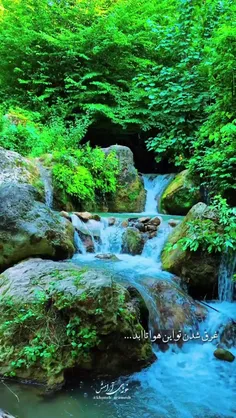 تو صدای سازمی....