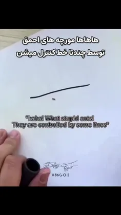 می بینم که صبح شده و هر روز به 1 مهر نزدیک می شویم😁😔