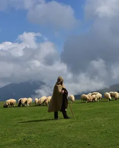 زندگی در ارتفاعات تالش ، بر فراز ابرها زیباست . 🌬🌹