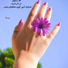 معمولا+جاده+های+سخت+