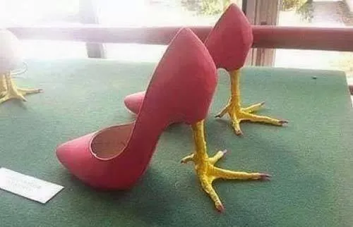 کی از این کفشها دوست داره؟