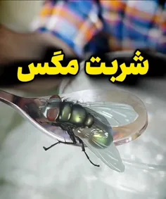 شربت مگه برای وهابیون 