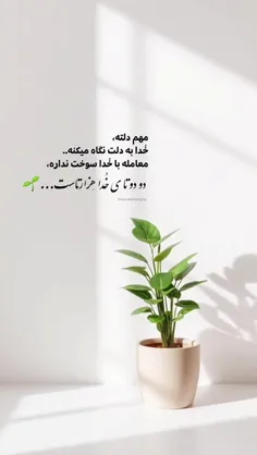 خدایا شکرت 🥹✨️