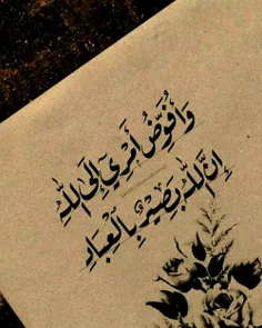 «وَأُفَوِّضُ أَمْرِي إِلَى اللَّهِ إِنَّ اللَّهَ بَصِيرٌ 