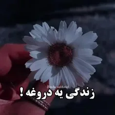 حقیقت تلخه و دروغ شیرین 💔✋