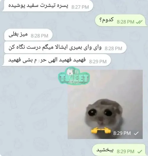 احساس خول و چل بودن دارم