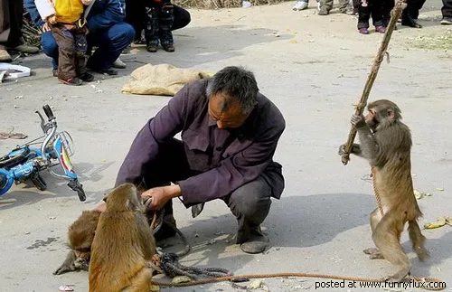 باغیرت به این میگن!!!