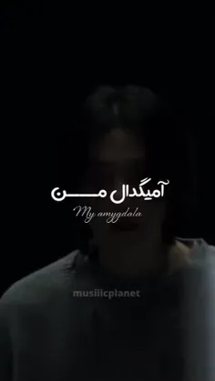 امیگدال❤❤❤💎