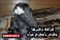 خیلی جالبه ههههه