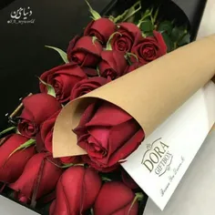 🌹 مهربانی