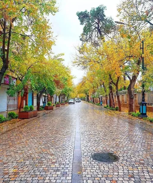 *♦️پاییز شیراز، خیابان طالقانی*