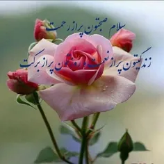 عکس نوشته ali999999 29959228