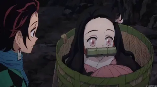 anime gif🐣 tanjiro kamado😇 🌿 nezuko kamado🐣 🌺 🌸 🍃 kimetsu