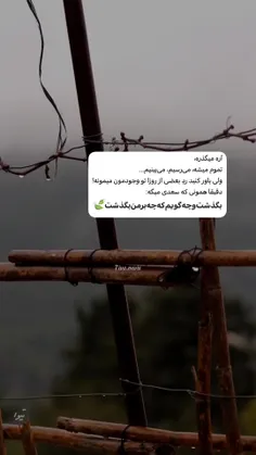 غمگین تر از گلی که از ته دل  لبخند زد   اما اندکی  بعد از