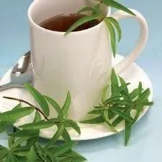 چای #به_لیمو ☕️ کمی به لیمو را در یک قوری آب دم کنید و با