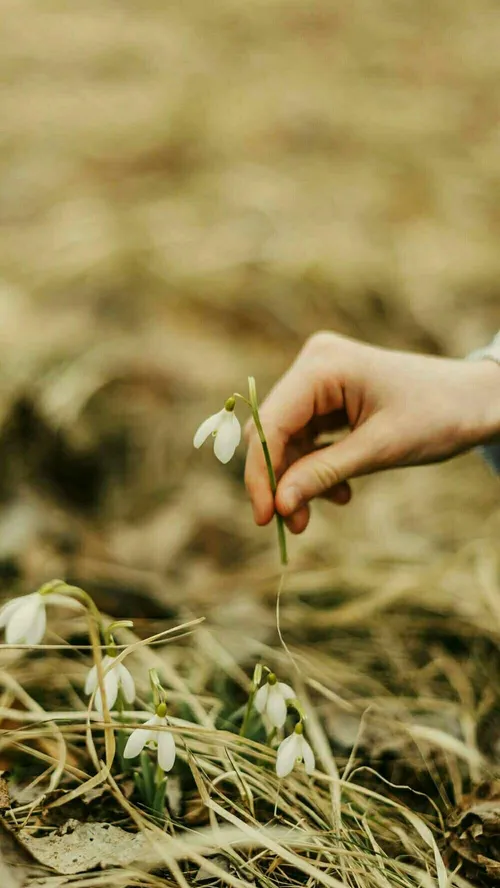 جـمیـݪ رائـع روعــہ ابــداع خاص قشنگ هنری بینظیر جذاب شیک