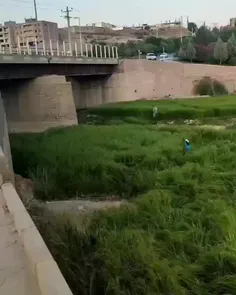 ❤اخی سی باغملک 🥰😍😍فصل برنج