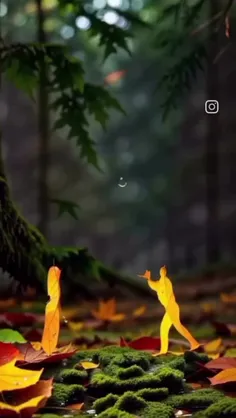 انسان های خوب را بدلیل یک اتفاق بد از خود دور نکنید!