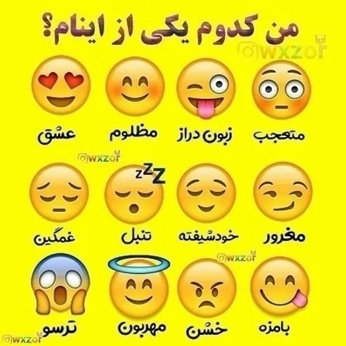 من کدومشونم🤭🙈