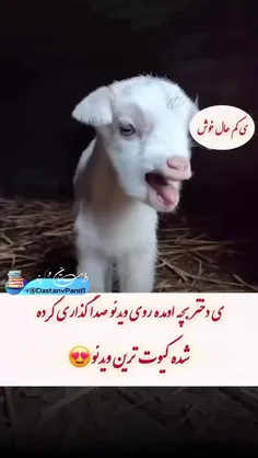 خیلی قشنگ بود کیوت ترین صداگذاری 😂♥️