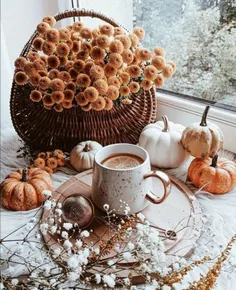 #پاییز_و_دیگر_هیچ 🍁🎃🍂