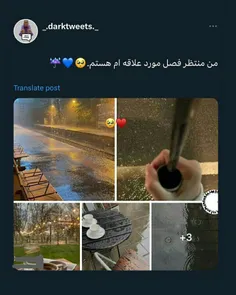 بنظر من تنها فصلی که هم هواش خوبه هم وایبش پاییزه:) 