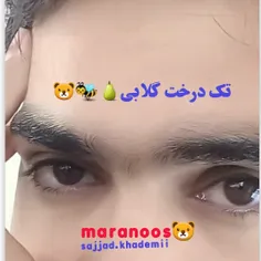 شادمهر جانم......