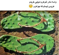 دمپایی مخصوص مادر شوهر رسید😂