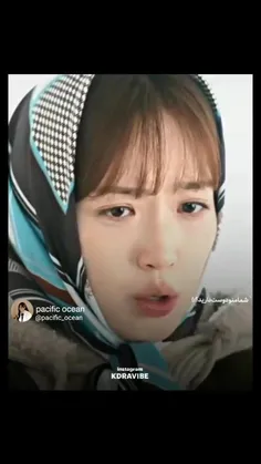 بدونه سود بدونه عشق