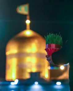 #جانم‌_رضا❤ ️