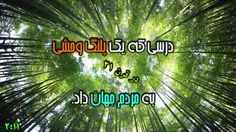 درس گذشت و عشق که یک پلنگ وحشی در قرن 21 به مردم جهان داد