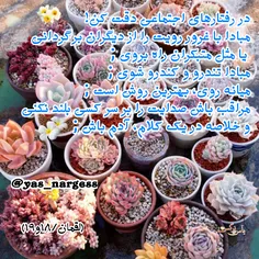 #نکته_تربیتی_قرآنی