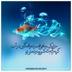 برای ماهی