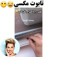 من اینکارو همیشه برا ماهیام میکنم 🤣🤣