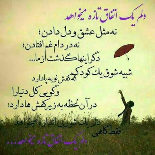 🌟 آدمهایی که شما را، بارها و بارها می آزارند"