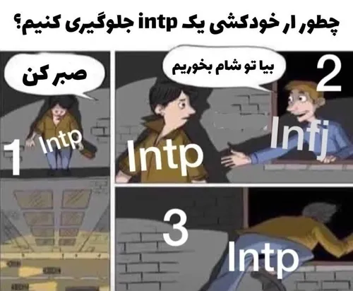 mbti INTP INFJ