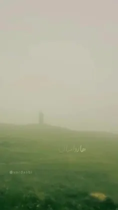 شهید جمهور