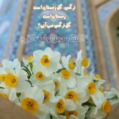 #سلام_امام_زمانم ❤ ️