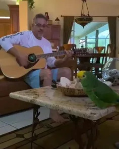 طوطی خواننده تا حالا دیده بودید!؟