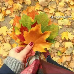 خیلی قشنگه:)*_*:maple_leaf:🍂 ✌ 😍