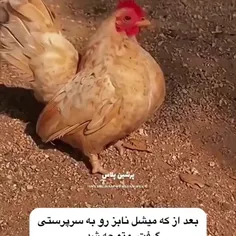 چقدر خوشگل شد😍