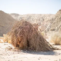 Shot near the #SaltonSea for my collaboration with @__mor